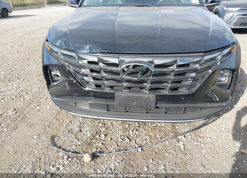 2024 HYUNDAI TUCSON LIMITED VIN: 5NMJECDE1RH324956