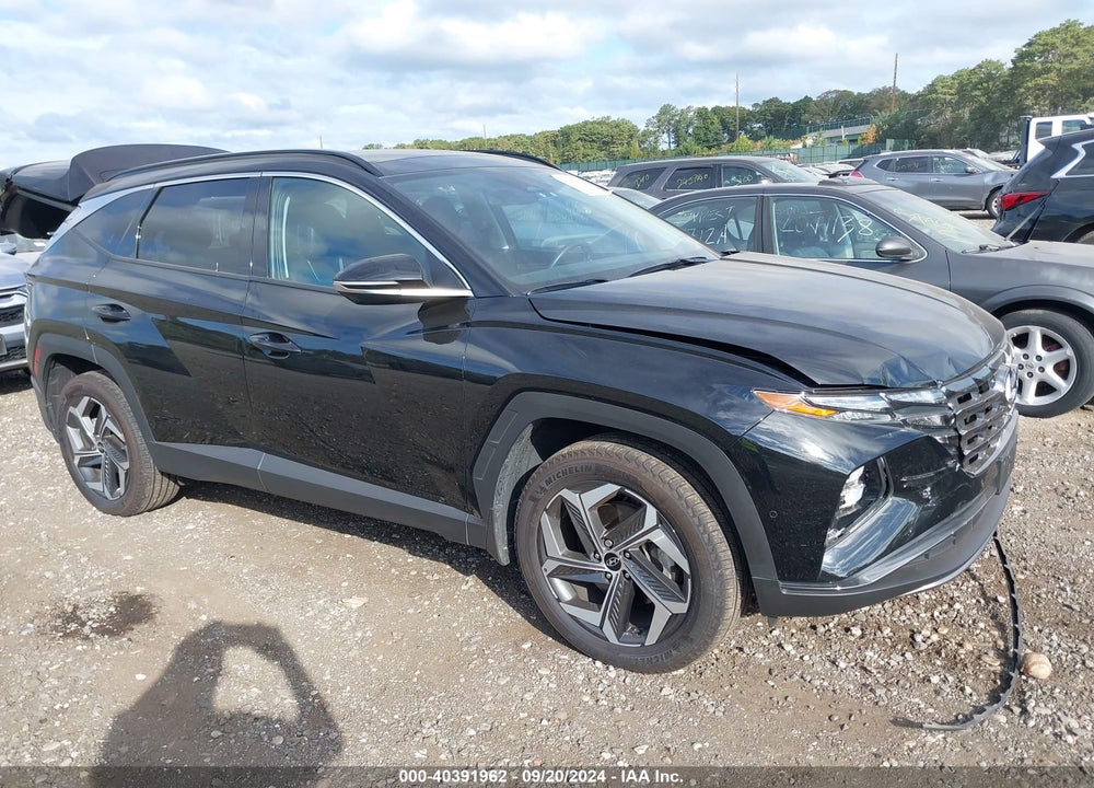 2024 HYUNDAI TUCSON LIMITED VIN: 5NMJECDE1RH324956