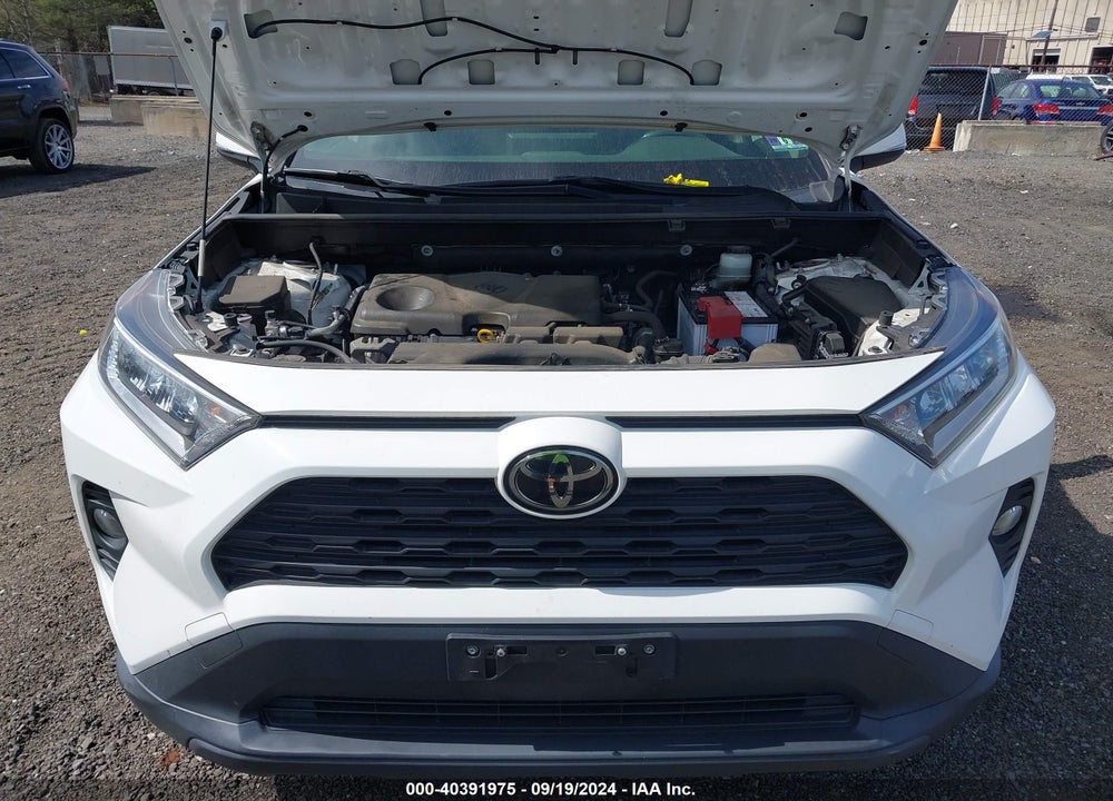 2019 TOYOTA RAV4 XLE VIN: JTMP1RFV8KD022942