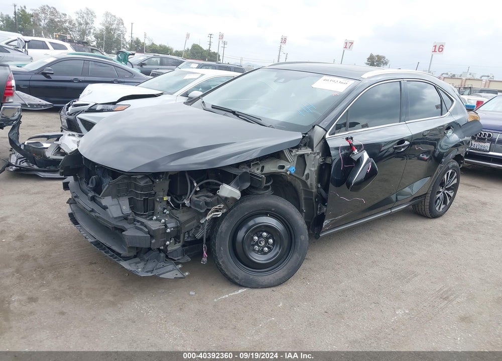 2020 LEXUS NX 300 VIN: JTJSARDZ5L5006920