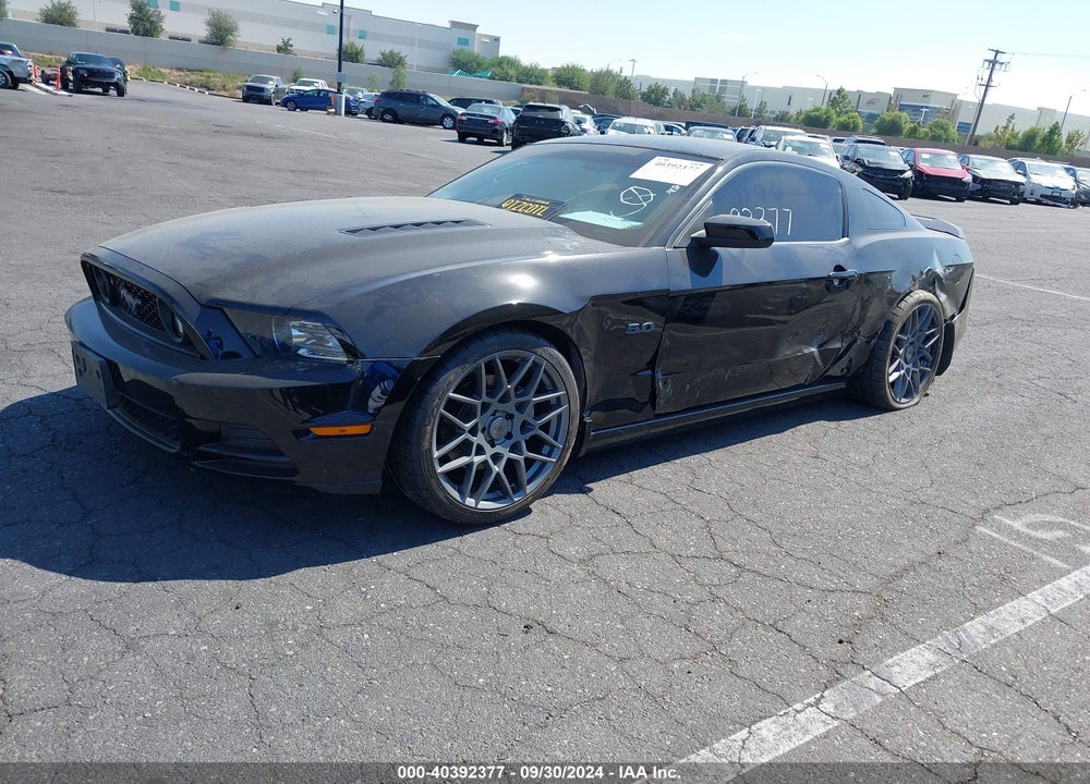 2014 FORD MUSTANG GT VIN: 1ZVBP8CFXE5247679