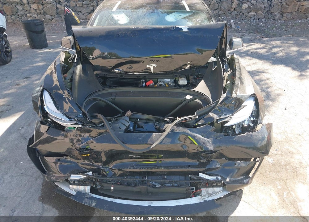 2019 TESLA MODEL 3 LONG RANGE/MID RANGE/STANDARD RANGE/STANDARD RANGE PLUS VIN: 5YJ3E1EA1KF300656