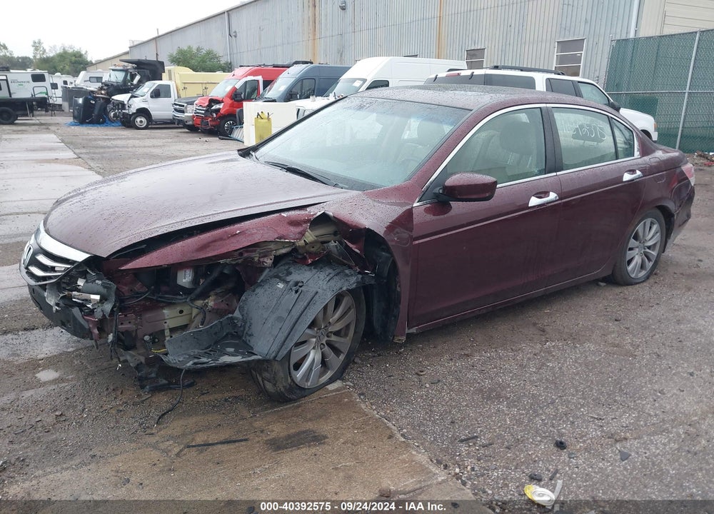 2011 HONDA ACCORD 3.5 EX-L VIN: 1HGCP3F81BA001664