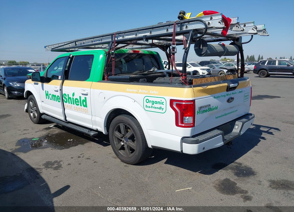 2017 FORD F-150 XLT VIN: 1FTEW1CP7HKD00007