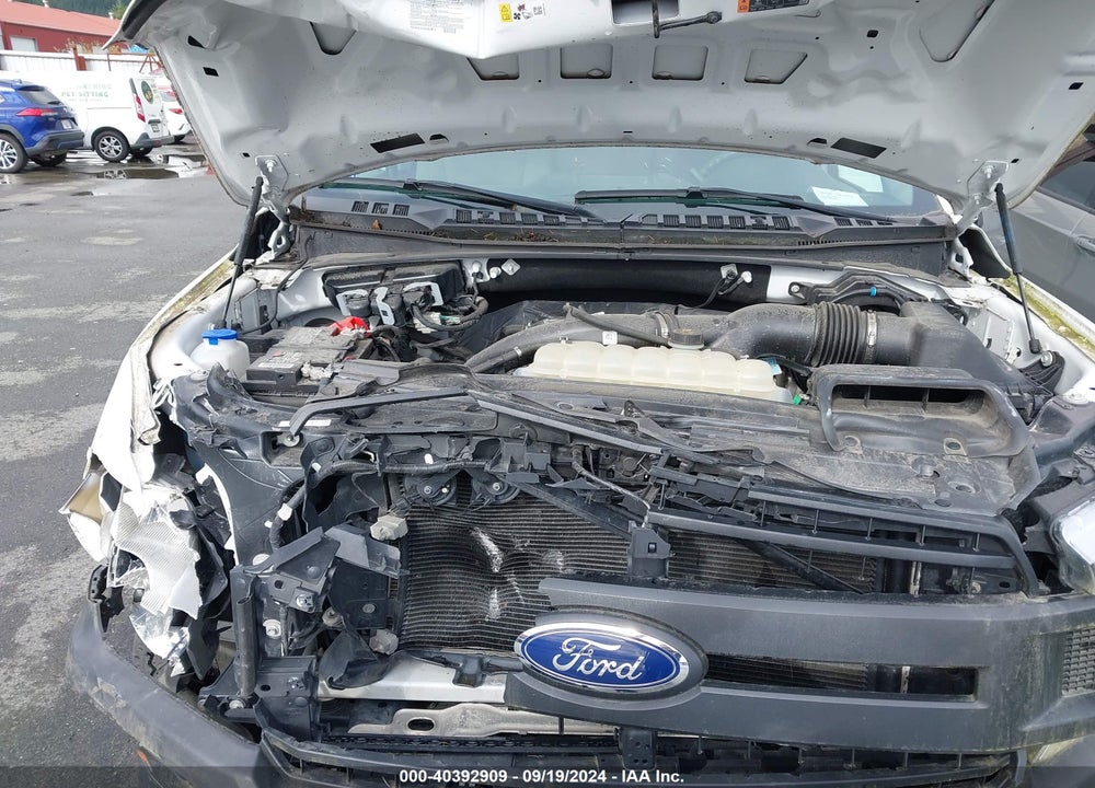 2019 FORD F-150 XL VIN: 1FTMF1EP2KKD13893