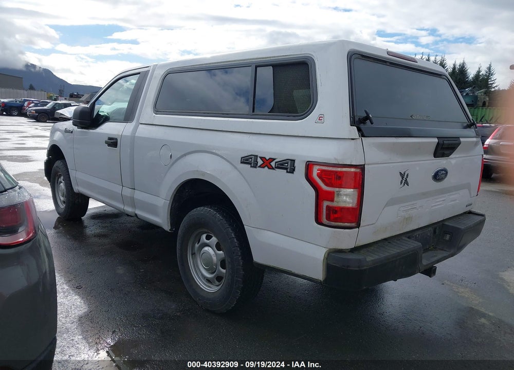 2019 FORD F-150 XL VIN: 1FTMF1EP2KKD13893