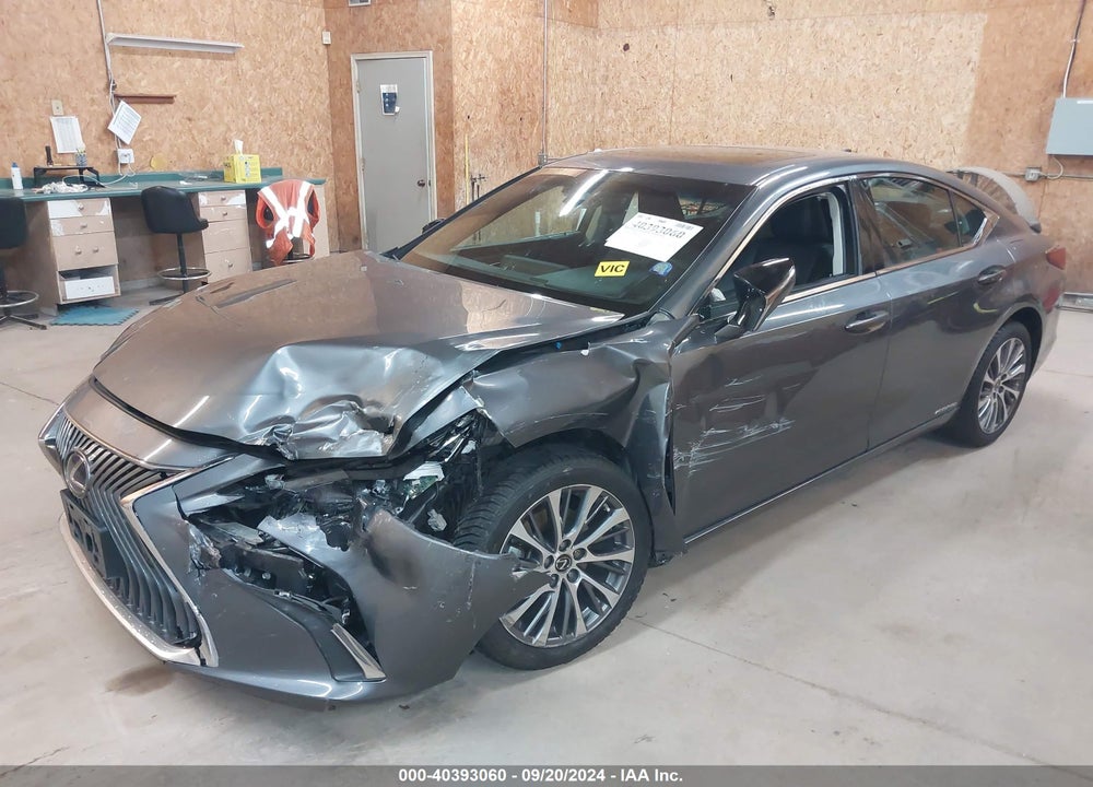 2019 LEXUS ES 300H VIN: 58AB21B19KU002845