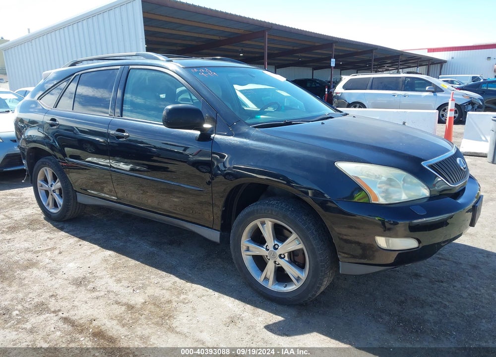2004 LEXUS RX 330 VIN: JTJGA31U340029929