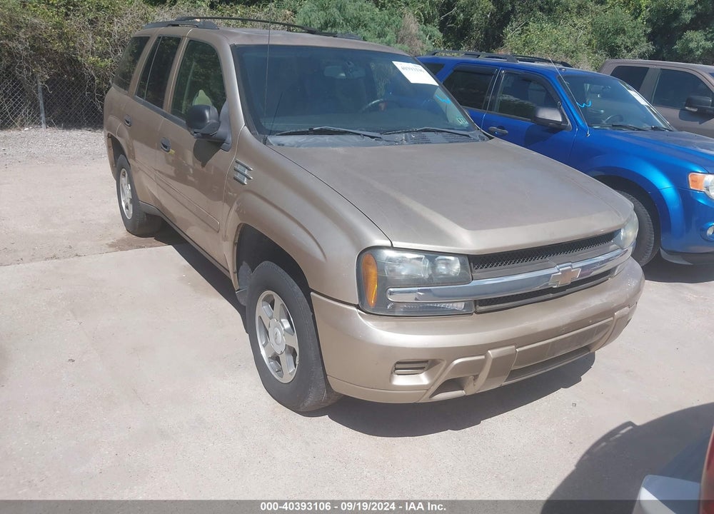 2006 CHEVROLET TRAILBLAZER LS VIN: 1GNDT13S862310221