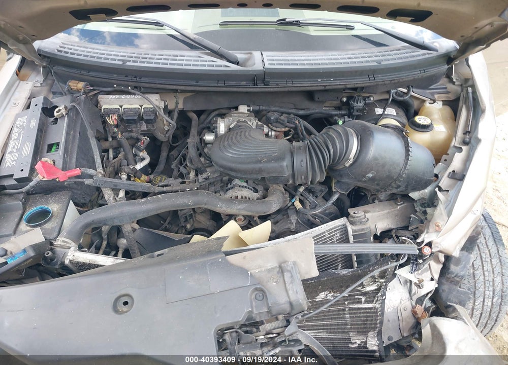 2006 FORD F-150 XLT VIN: 1FTRW12W76KA65194
