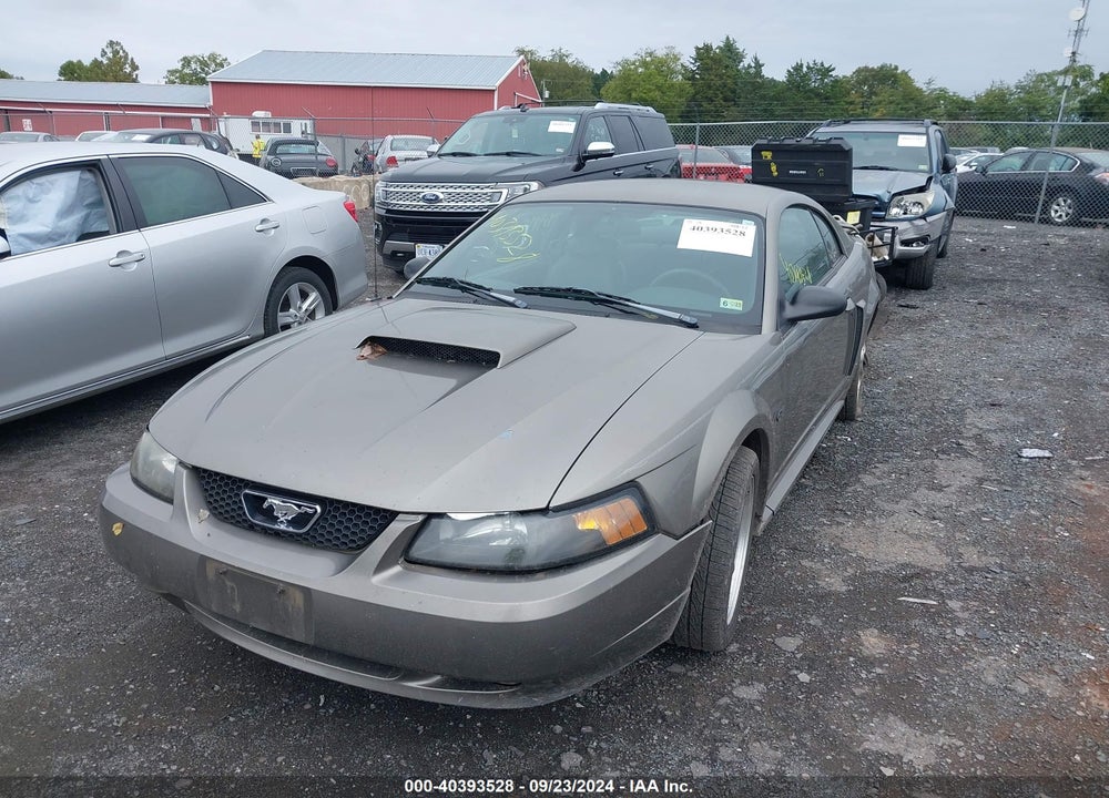 2002 FORD MUSTANG GT VIN: 1FAFP42X82F154310