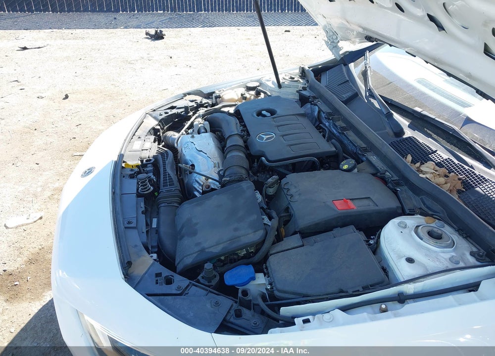2019 MERCEDES-BENZ A 220 VIN: WDD3G4EB9KW035216