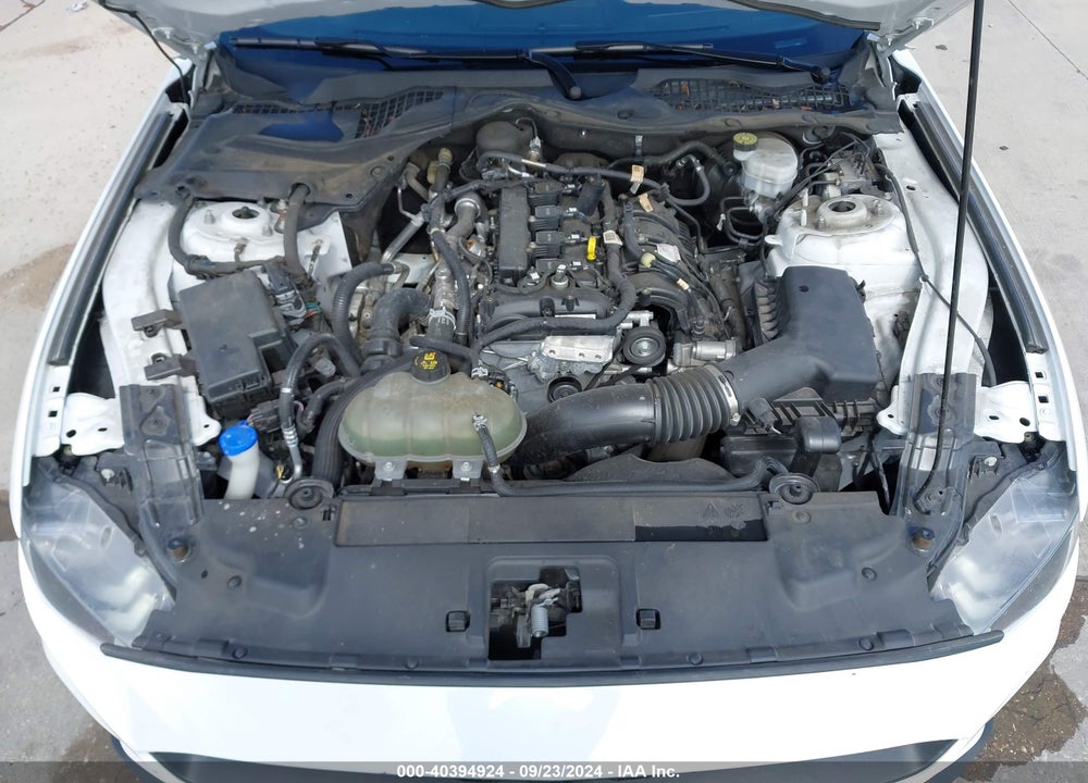 2021 FORD MUSTANG ECOBOOST PREMIUM FASTBACK VIN: 1FA6P8TH5M5135740