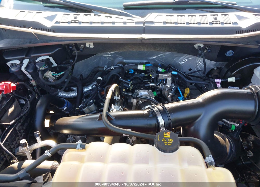 2019 FORD F-150 XL VIN: 1FTEW1CP7KFA28235