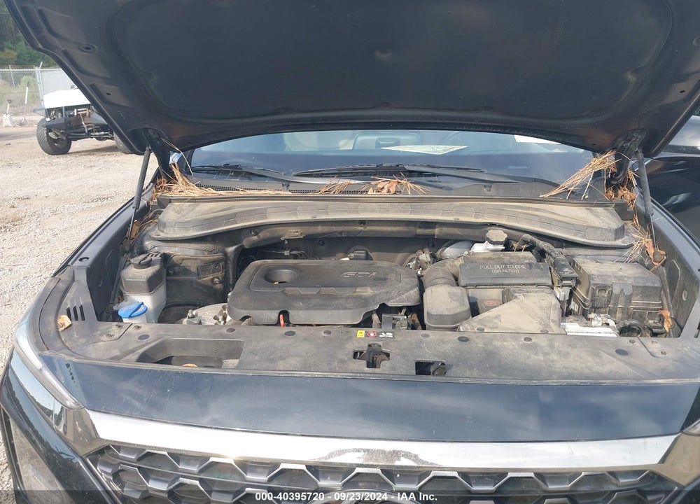 2020 HYUNDAI SANTA FE LIMITED VIN: 5NMS53AD9LH187952