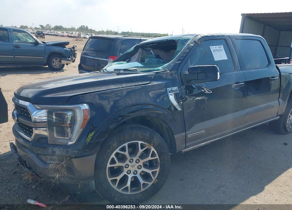 2023 FORD F-150 KING RANCH VIN: 1FTFW1ED3PFD03128