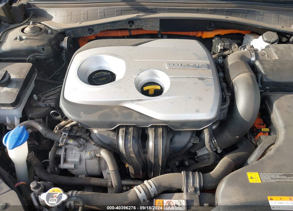 2019 KIA OPTIMA HYBRID EX VIN: KNAGU4LE1K5032637