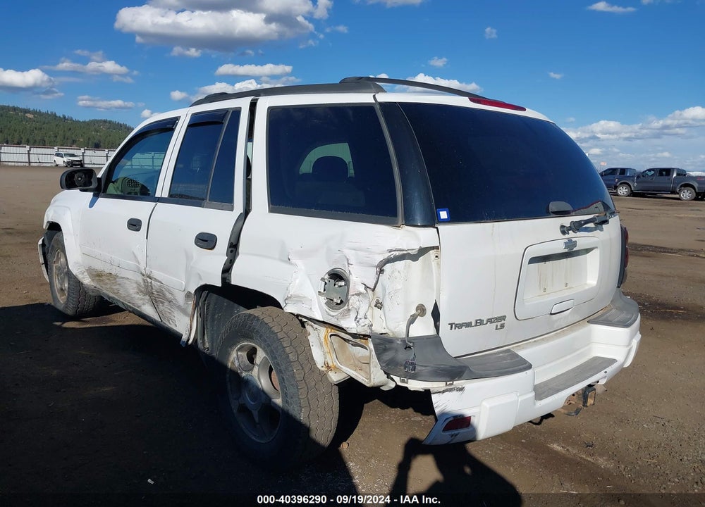2006 CHEVROLET TRAILBLAZER LS VIN: 1GNDT13S662335960