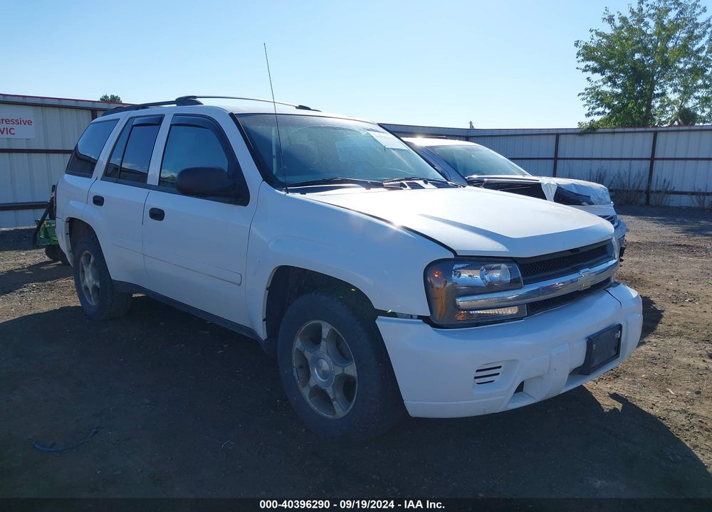 2006 CHEVROLET TRAILBLAZER LS VIN: 1GNDT13S662335960