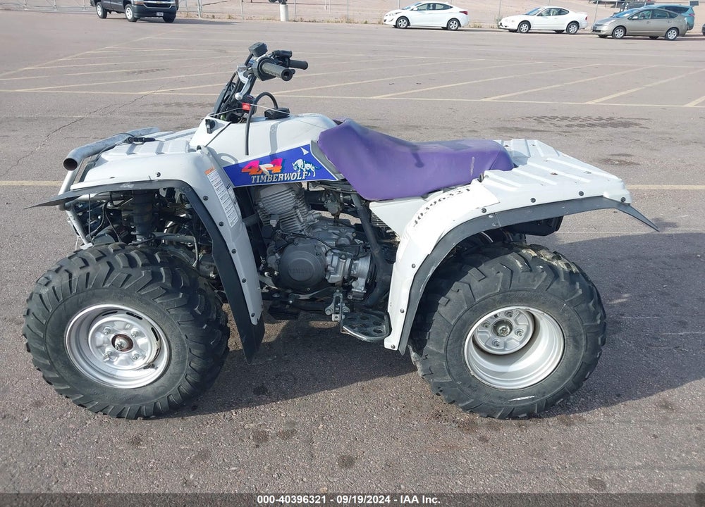 1994 YAMAHA YFB250 FW VIN: JY44KDA08RA002439
