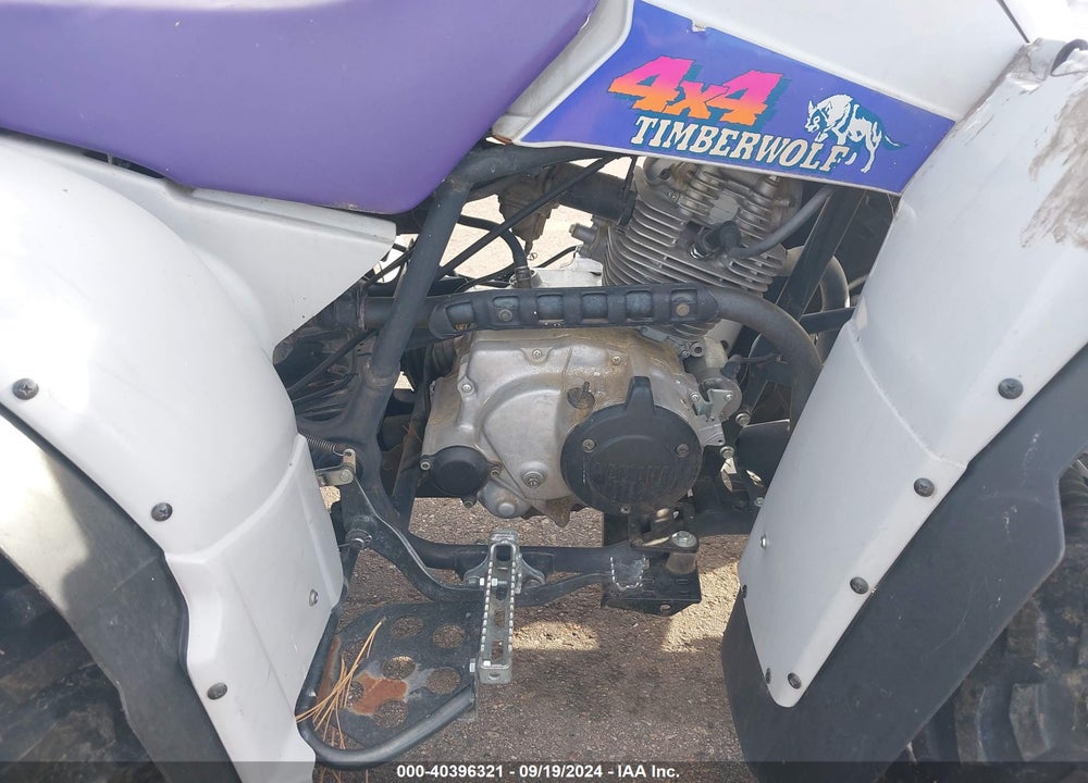 1994 YAMAHA YFB250 FW VIN: JY44KDA08RA002439