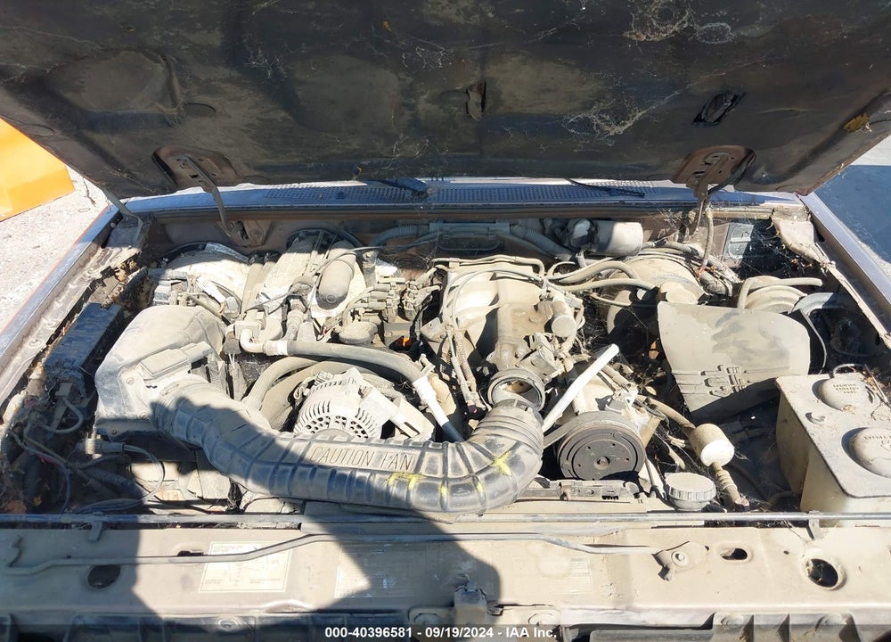 1992 FORD EXPLORER VIN: 1FMDU34X9NUA81865
