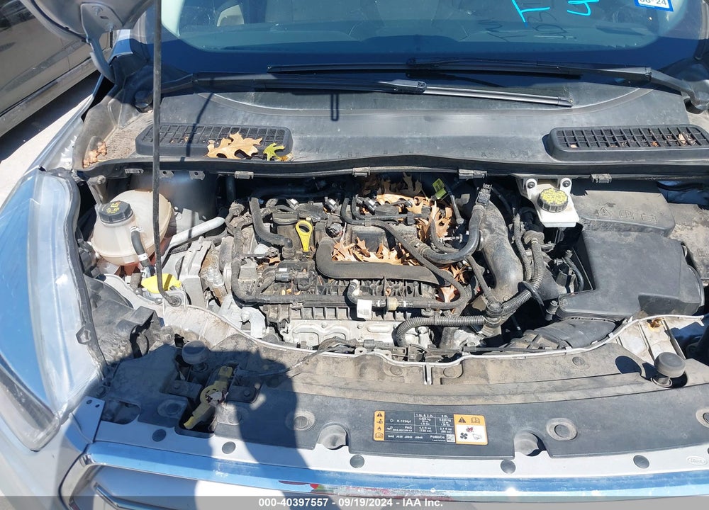 2019 FORD ESCAPE SE VIN: 1FMCU0GD1KUB30984