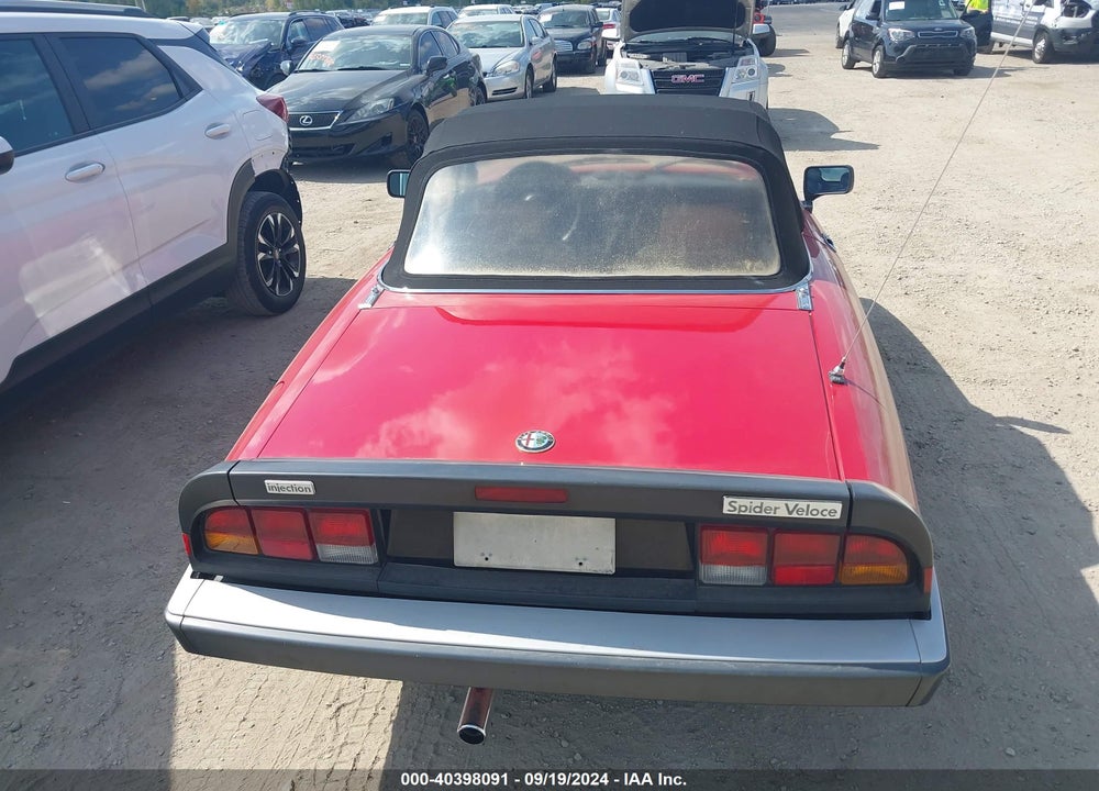 1989 ALFA ROMEO SPIDER VELOCE VIN: ZARBA5586K1066203