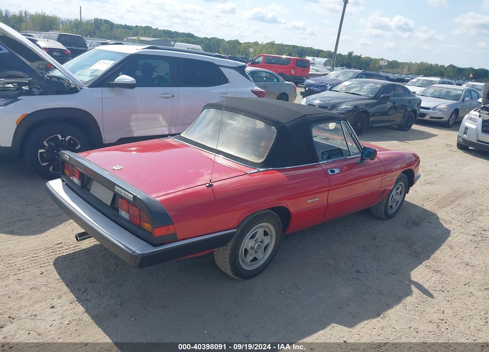 1989 ALFA ROMEO SPIDER VELOCE VIN: ZARBA5586K1066203