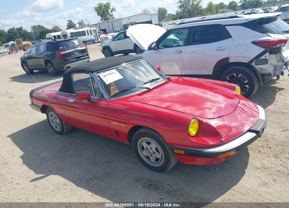 1989 ALFA ROMEO SPIDER VELOCE VIN: ZARBA5586K1066203