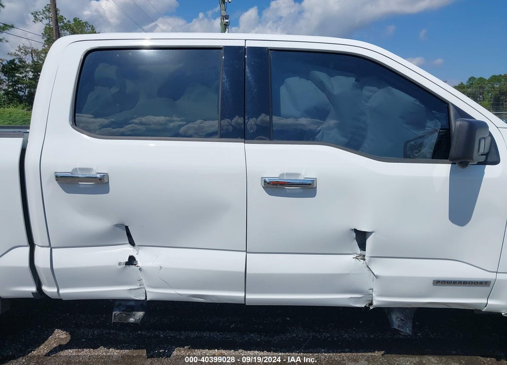 2024 FORD F-150 XLT VIN: 1FTFW3LD7RFA43950