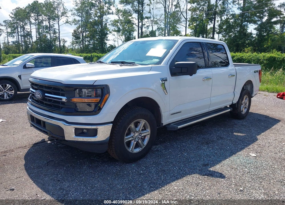 2024 FORD F-150 XLT VIN: 1FTFW3LD7RFA43950