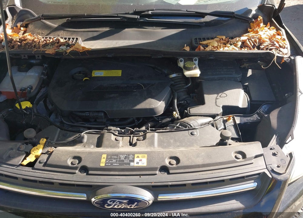 2014 FORD ESCAPE SE VIN: 1FMCU9GX1EUA88559