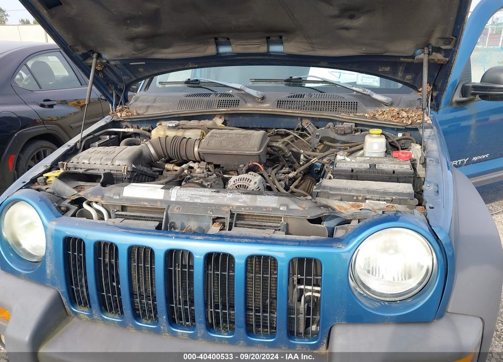 2003 JEEP LIBERTY SPORT VIN: 1J4GL48K33W627662