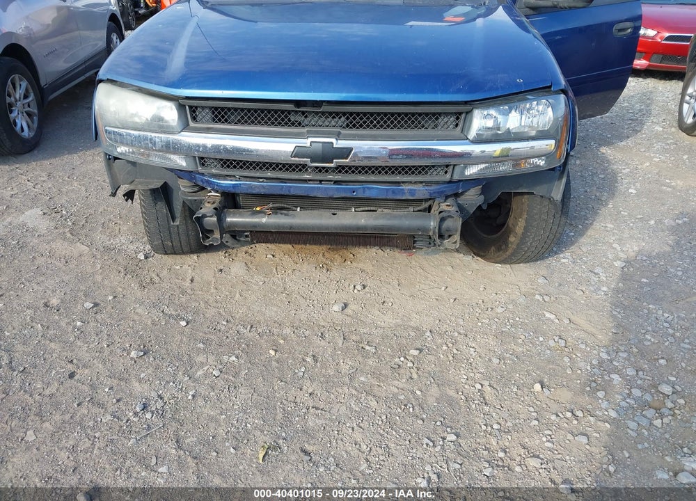 2006 CHEVROLET TRAILBLAZER LS VIN: 1GNDS13S662217684