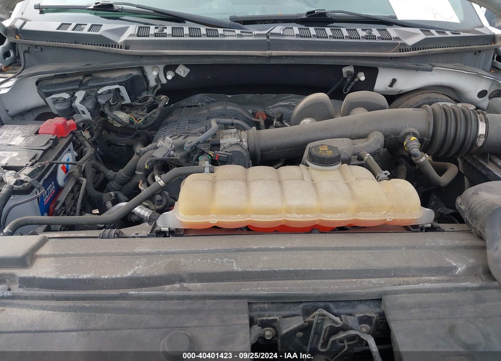 2019 FORD F-150 XL VIN: 1FTMF1CB8KKC53741