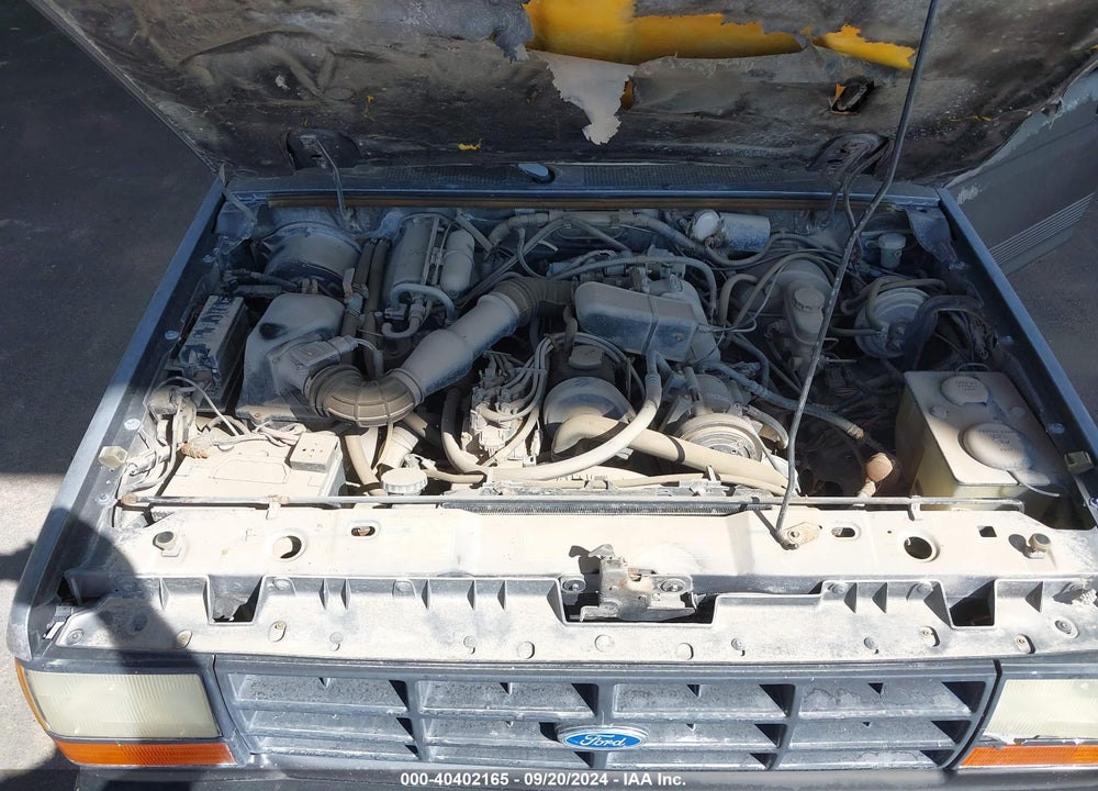 1992 FORD RANGER VIN: 1FTCR10A9NPA54395