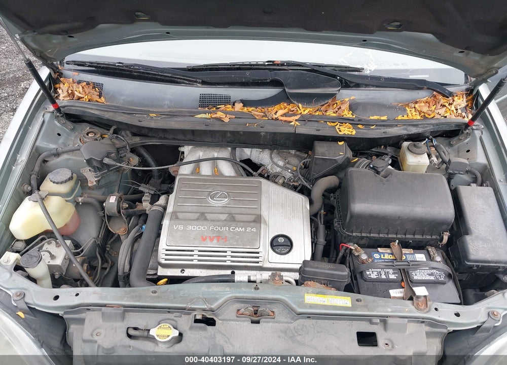 2000 LEXUS RX 300 VIN: JT6GF10U3Y0053509