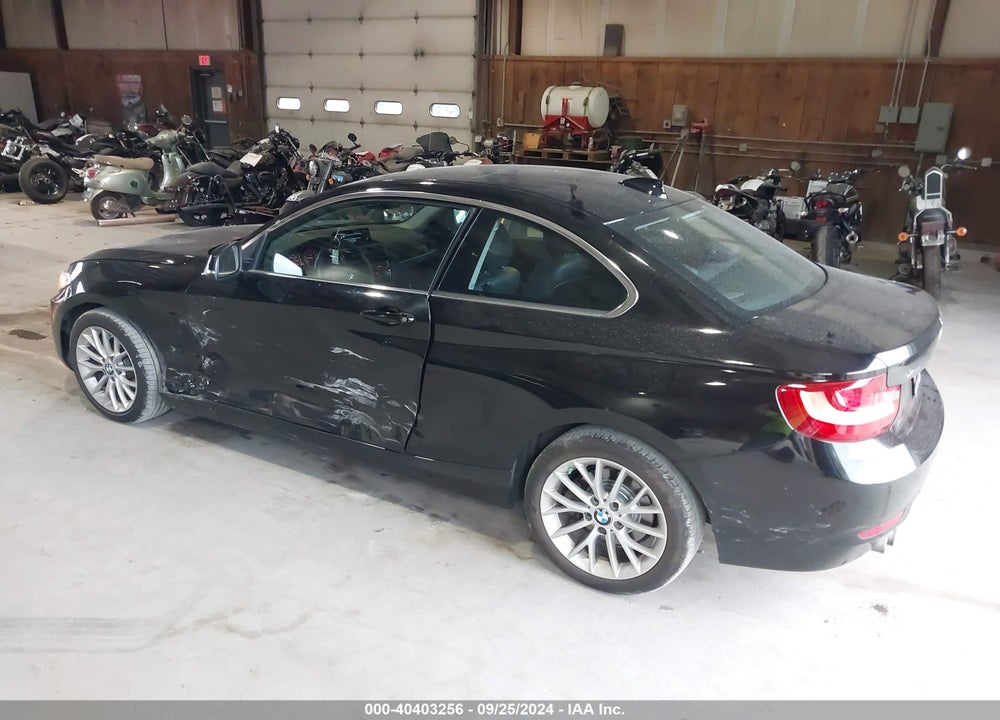 2015 BMW 228I XDRIVE VIN: WBA1F7C56FV367612