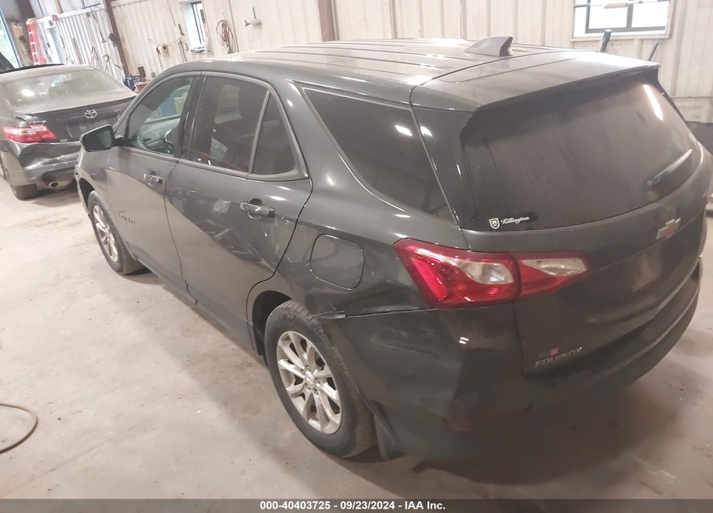 2019 CHEVROLET EQUINOX LS VIN: 2GNAXSEV1K6256231