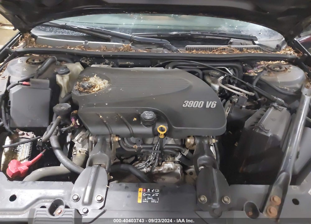 2011 CHEVROLET IMPALA LTZ VIN: 2G1WC5EMXB1195261