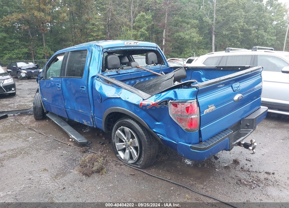 2014 FORD F-150 VIN: 1FTFW1ET2EFB44462