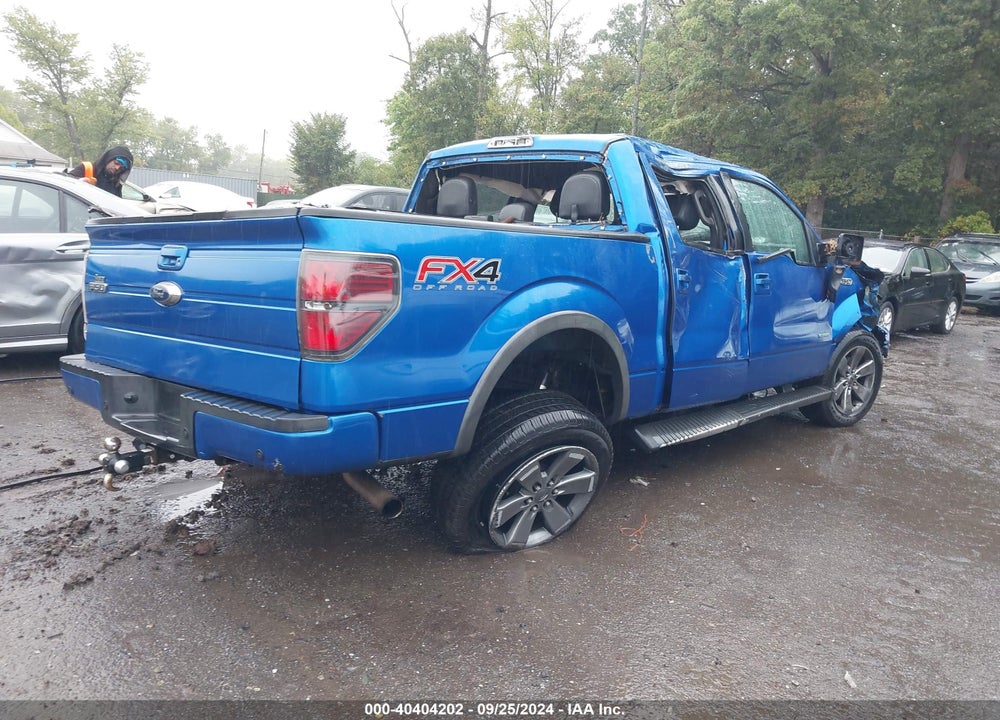 2014 FORD F-150 VIN: 1FTFW1ET2EFB44462
