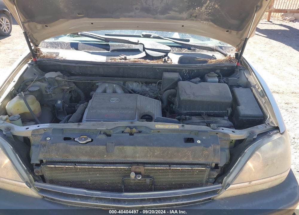 2000 LEXUS RX 300 VIN: JT6GF10U6Y0070689