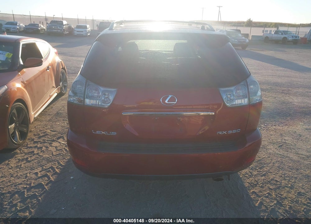 2009 LEXUS RX 350 VIN: 2T2HK31U19C131694