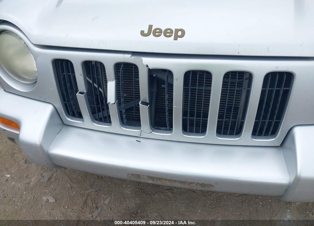 2004 JEEP LIBERTY LIMITED EDITION VIN: 1J4GL58K24W325965