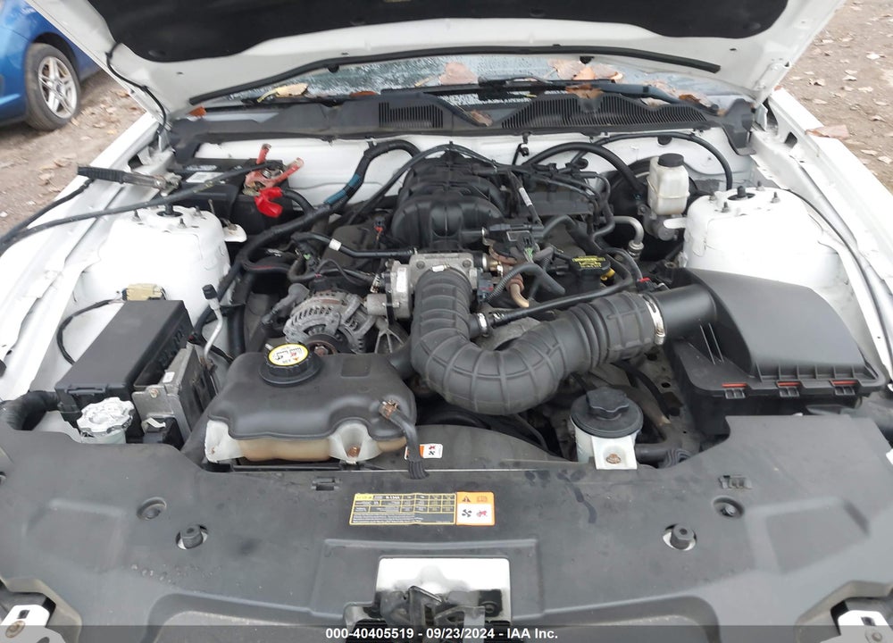 2010 FORD MUSTANG V6/V6 PREMIUM VIN: 1ZVBP8AN9A5124492
