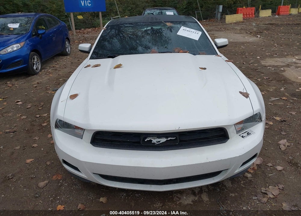 2010 FORD MUSTANG V6/V6 PREMIUM VIN: 1ZVBP8AN9A5124492