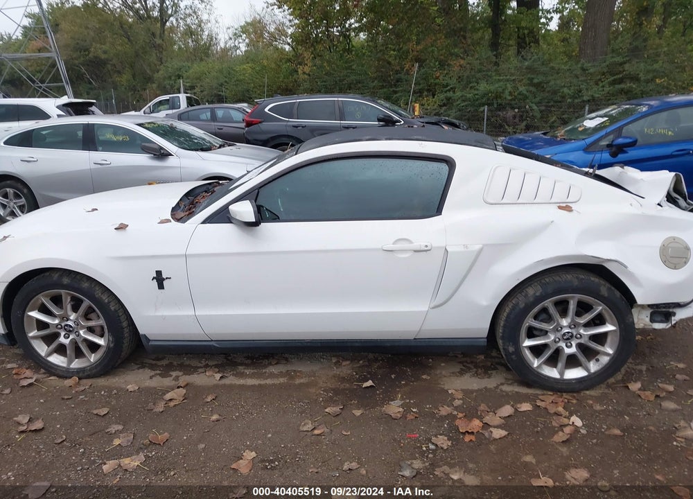 2010 FORD MUSTANG V6/V6 PREMIUM VIN: 1ZVBP8AN9A5124492