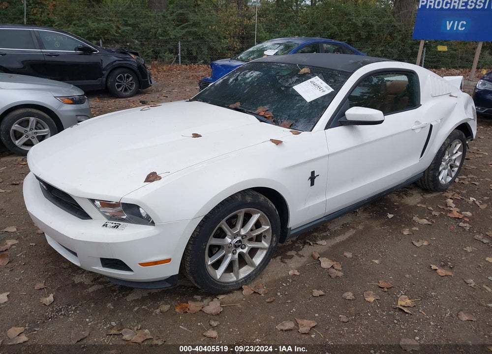 2010 FORD MUSTANG V6/V6 PREMIUM VIN: 1ZVBP8AN9A5124492